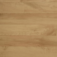 Гетерогенне покриття ПВХ Tarkett OMNISPORTS V35 MAPLE