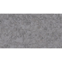 Гомогенное покрытие ПВХ Tarkett iQ Megalit DARKGREY 0602
