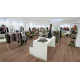 Біопол Wineo Purline 1000 PL Basic Wood L Strong Oak Cappuccino PL303R